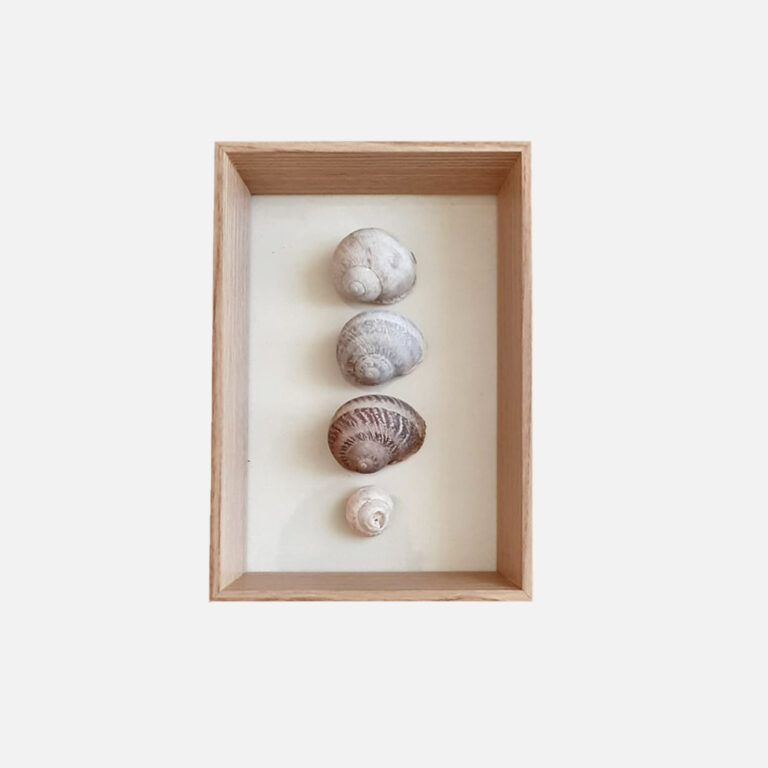 Quadro Decorativo – Vitrine 8